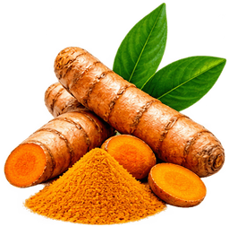 TURMERIC