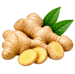 GINGER EXTRACT (6-GINGEROL)